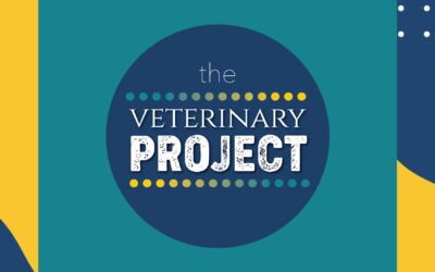 Sharing Your Story with Dr. Melanie Barham, CEO of Vets Stay Go Diversify