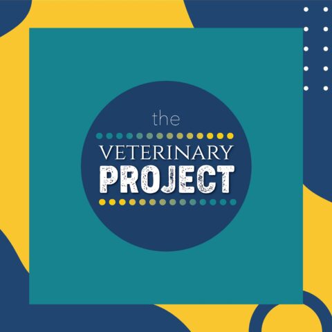 Dvm Project The DVM Project Meets The Veterinary Project - Career Conversations ...